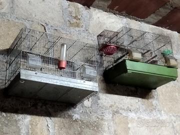 4 gabbie per uccelli