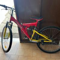 Mountain bike IROK