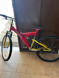 Mountain bike IROK