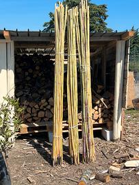 Canne per pomodori