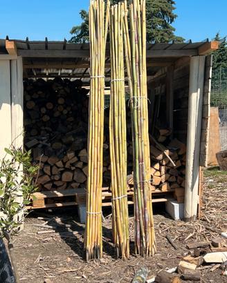 Canne per pomodori