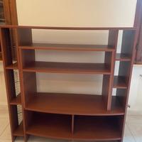 Mobile TV e libreria