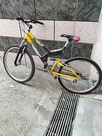 Bicicletta nuova