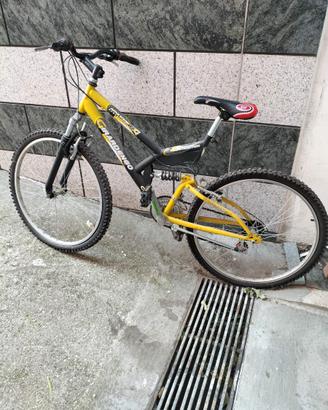 Bicicletta nuova