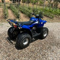 Quad 100cc Polini