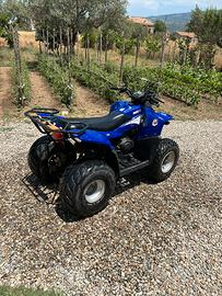 Quad 100cc Polini