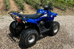 Quad 100cc Polini