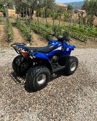 Quad 100cc Polini