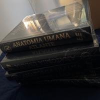 Trattato anatomia giuseppe Anastasi