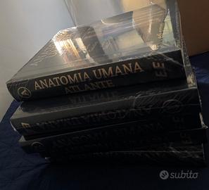Trattato anatomia giuseppe Anastasi