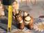 Immagine 5