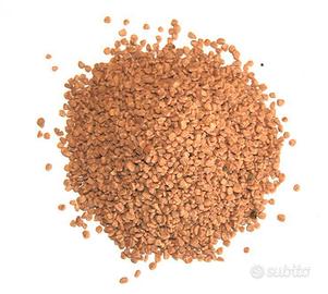 Nocciolino per stufe