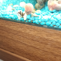 Lumache Helena killer