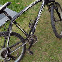 MTB front Bottecchia/ Citybike Maino