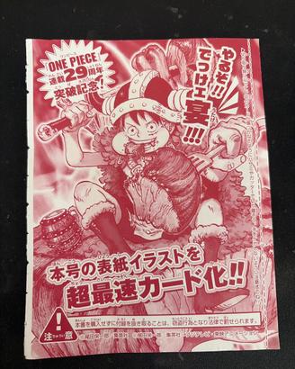 Monkey D. Luffy 29th Anniversary|Promo Giapponese