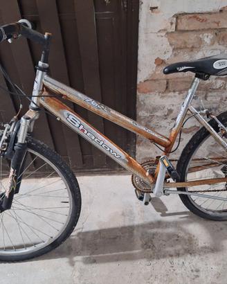 Bicicletta / Bicycle