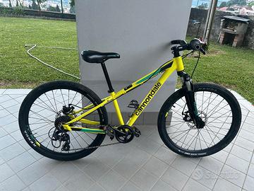 Bicicletta Cannondale Bimbo