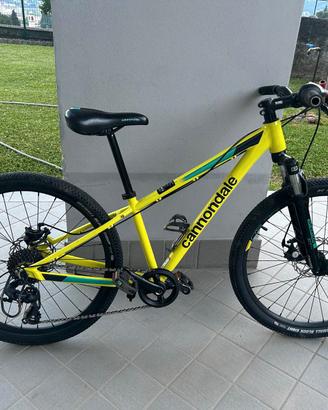 Bicicletta Cannondale Bimbo