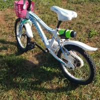 bicicletta bimbi