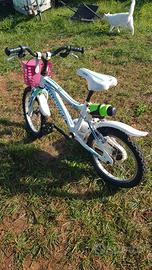 bicicletta bimbi