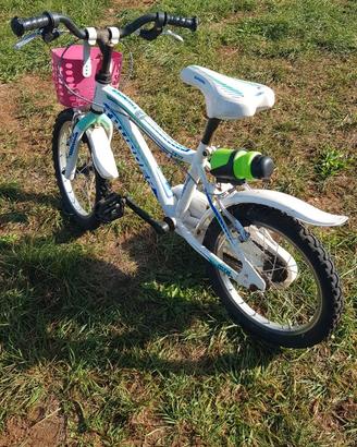 bicicletta bimbi