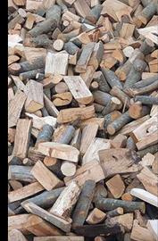 legna da ardere secca