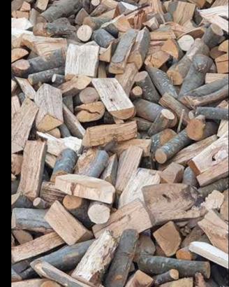 legna da ardere secca