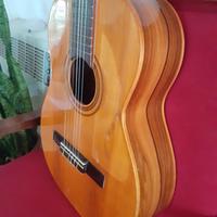 chitarra classica DiGiorgio Brasil