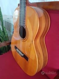 chitarra classica DiGiorgio Brasil