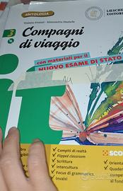 compagni di viaggio. antologia 3. 