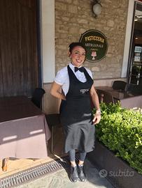 Lavoro Campo ristorazione, alimentari