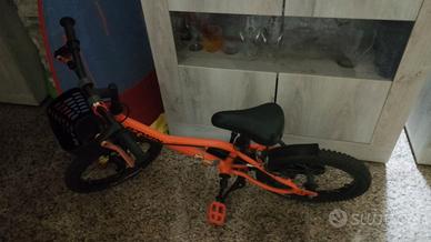 Bicicletta