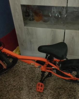 Bicicletta