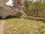 Immagine 25