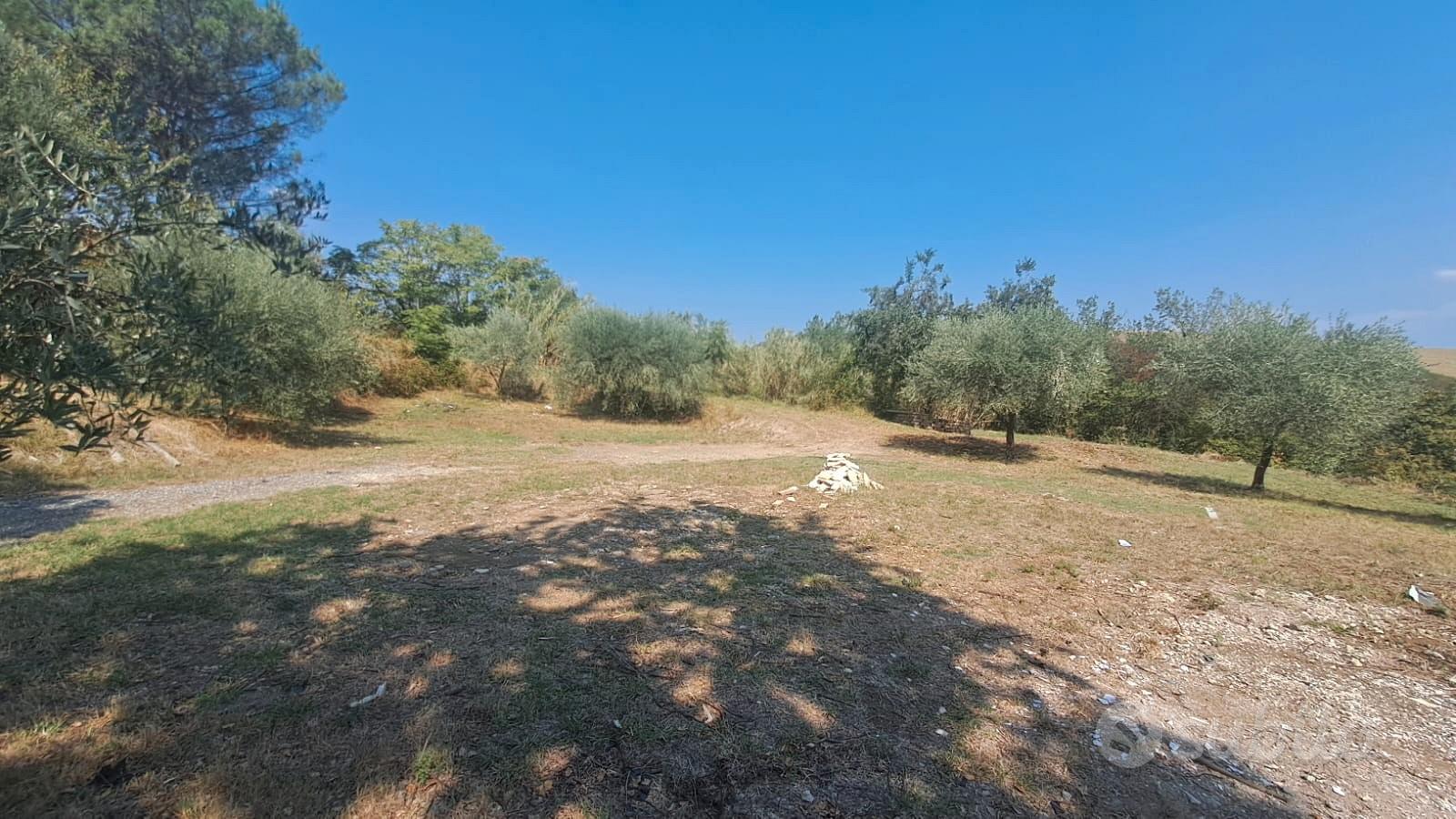 Terreno MARCO SIMONE guidonia - Vista 3