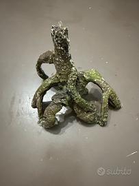 Radice albero per acquario