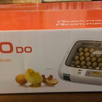 Incubatrice rcom 50 DO