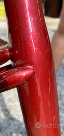 bicicletta graziella