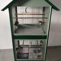 gabbia doppia + 2 canarini 