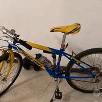 Bicicletta mtb