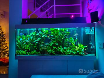Aquario dolce/salato juwel rio 450 pronto all'uso