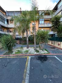 02 Mascalucia bilocale con garage e posto auto