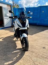 Xadw 2025 focella nera