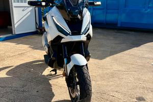 Xadw 2025 focella nera