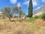 Immagine 7