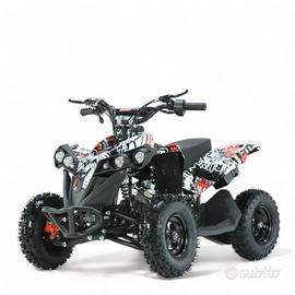 MINIQUAD DEFENDER XXL E-START 49 cc R6