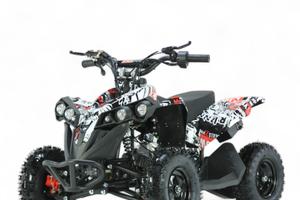 MINIQUAD DEFENDER XXL E-START 49 cc R6