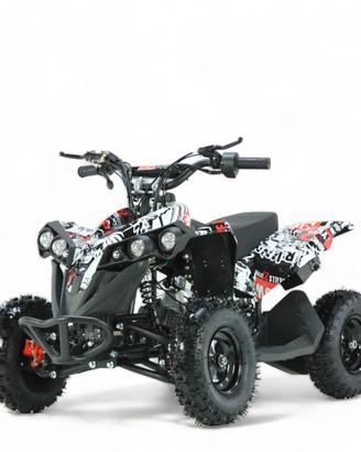 MINIQUAD DEFENDER XXL E-START 49 cc R6
