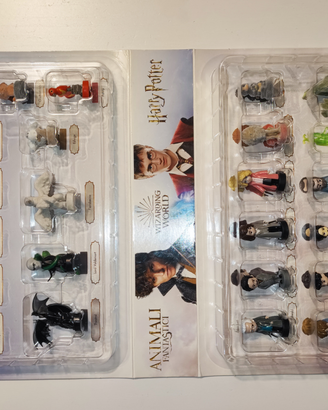 Collezione Harry Potter