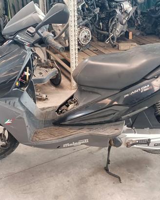 ricambi malaguti phantom f12r 